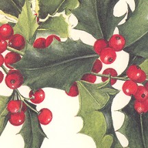 Large Holly Borders Christmas Print Paper ~ Tassotti 